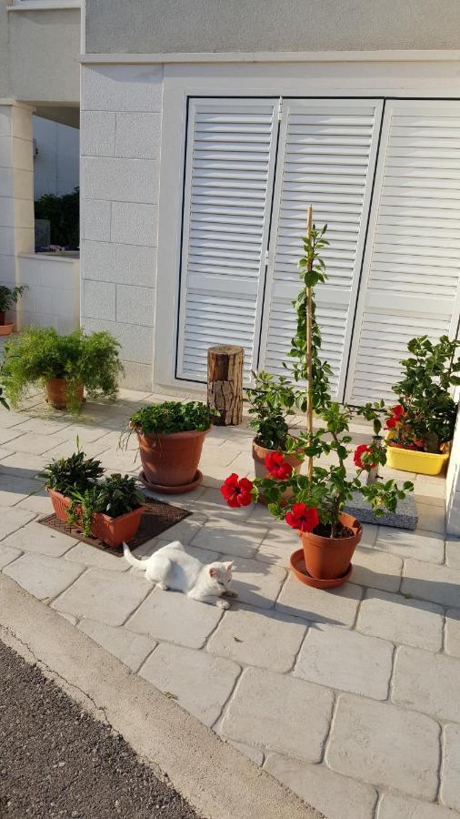 Apartments Pojko Dubrovnik Exterior photo